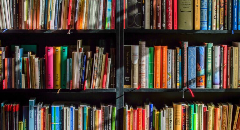 Regal mit Büchern